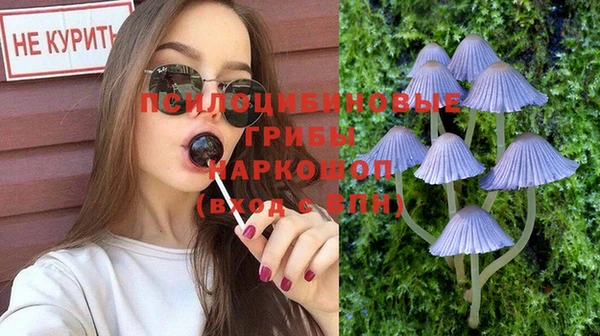 герыч Горняк