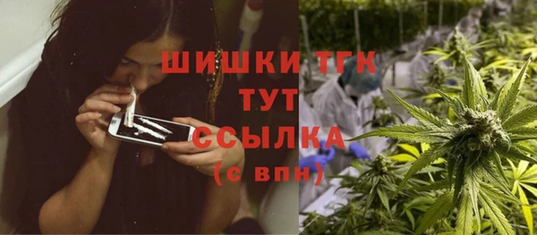 дживик Осинники