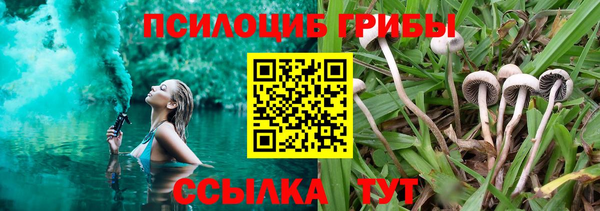 Галлюциногенные грибы MAGIC MUSHROOMS  Выборг 