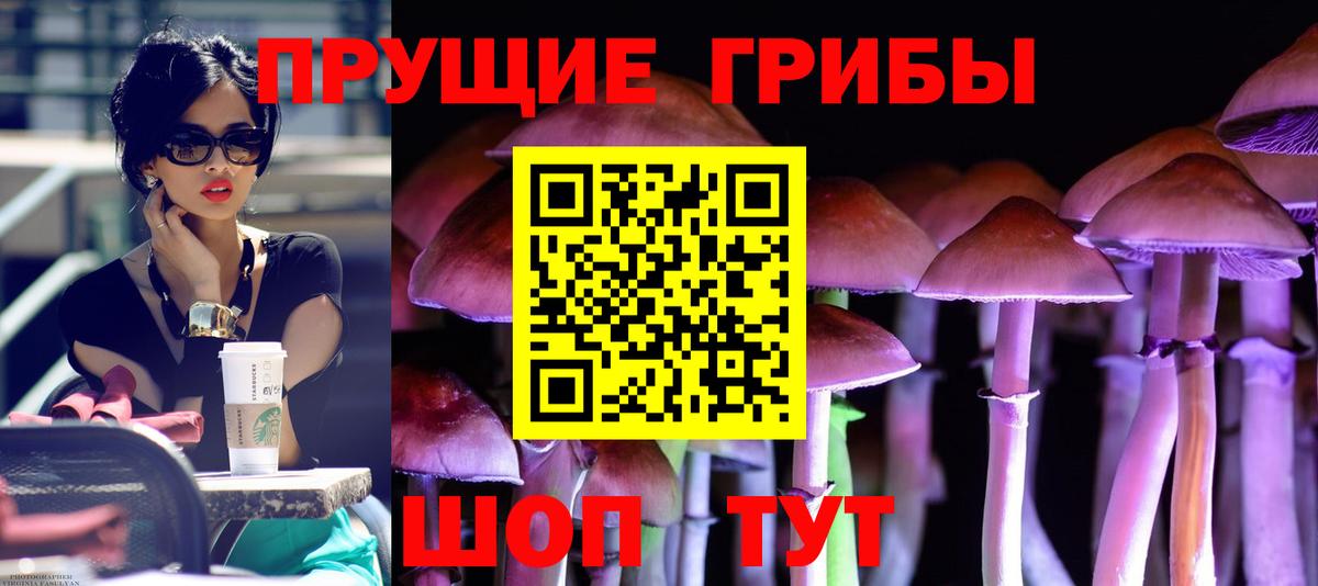 купить наркотик  Галлюциногенные грибы Cubensis  Вход с VPN  Выборг 